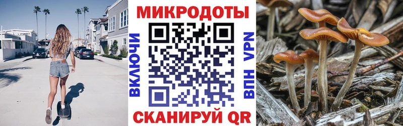 Купить  Меленки  Псилоцибиновые грибы GOLDEN TEACHER 